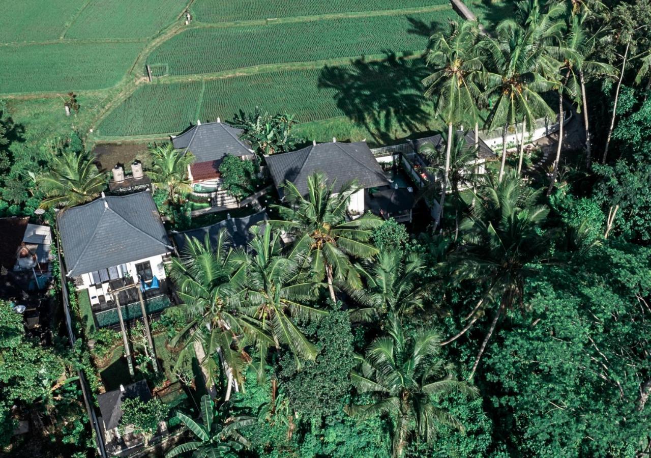 Capung Asri Eco Luxury Resort With Private Pool Villas Bedahulu ภายนอก รูปภาพ